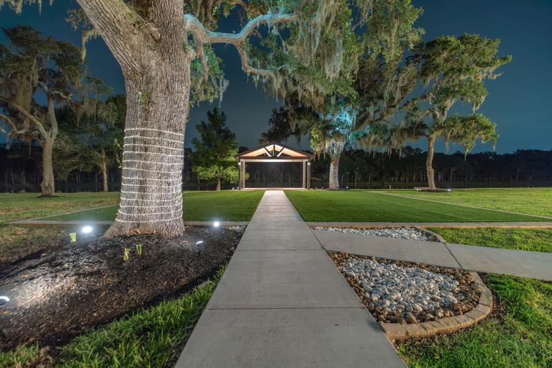 Entrance walkway under a grand tree at night
