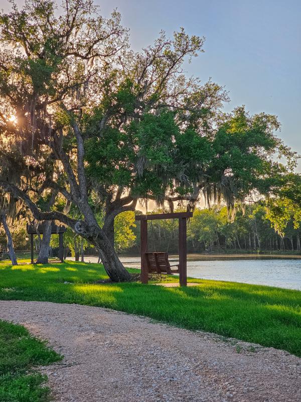 Gravel trail through the oaks to the lake